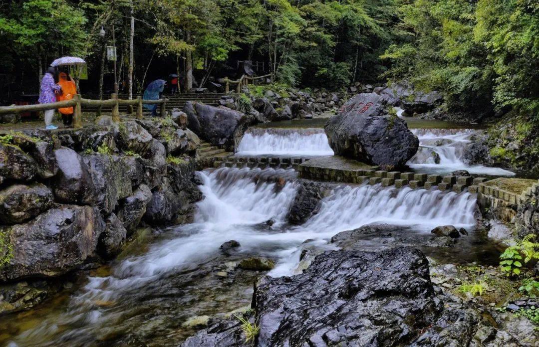 了解知识星球平台-肥鹅健身房没有兑换码入口,汇集知识分享与学习资源